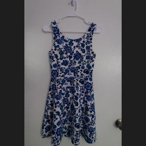 White and Blue Flower Skater Dress